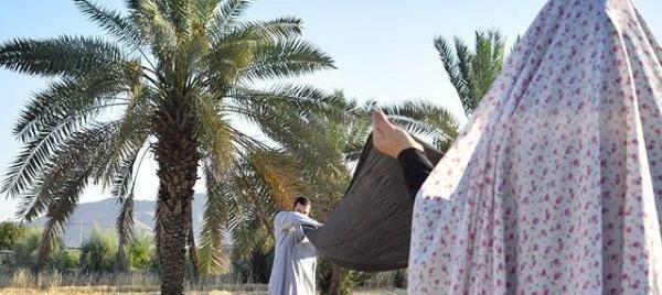 عکس نوشته روز طلبه
