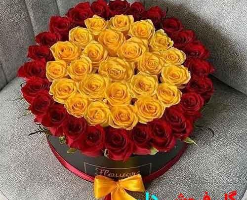 عکس قرمز و زرد