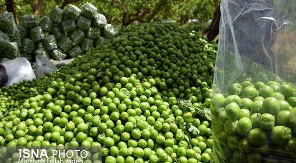 عکس الو سبز با نمک
