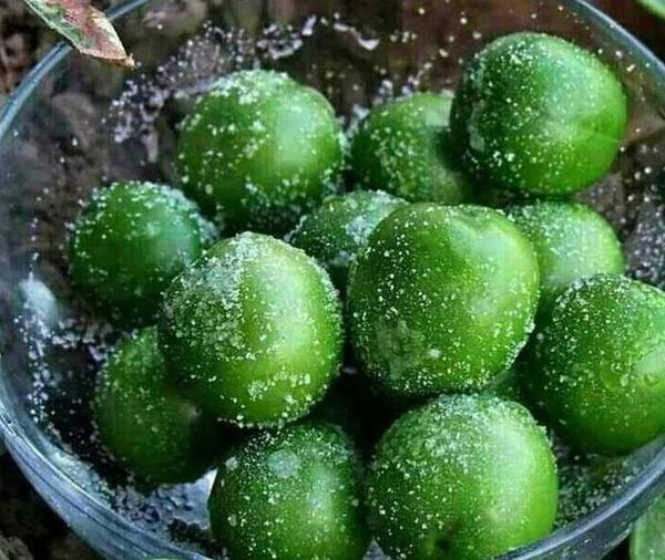 عکس الو سبز با نمک