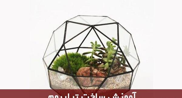 عکس تراریوم کاکتوس