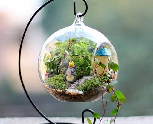 عکس تراریوم کاکتوس
