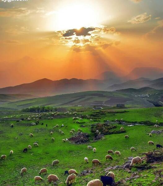 عکس نوشته به رسم رفاقت برایت دعاهای خوب میکنم