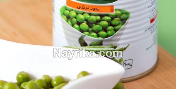 عکس سبز شدن نخود
