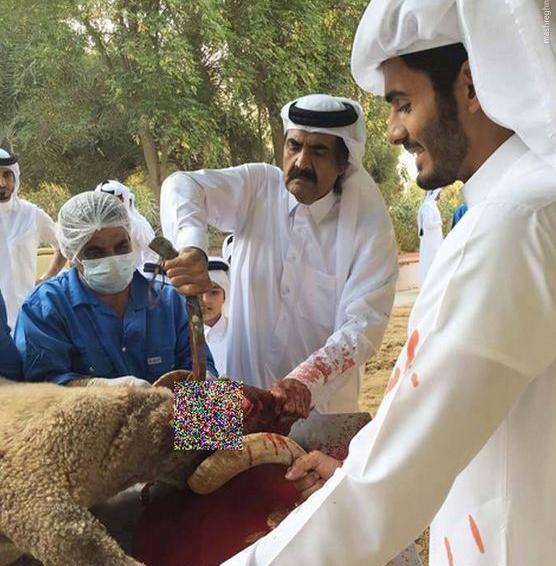 عکس بلیط قطر