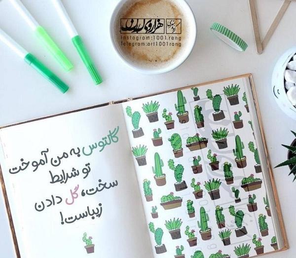 عکس کاکتوس عاشقانه