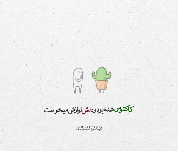 عکس کاکتوس عاشقانه