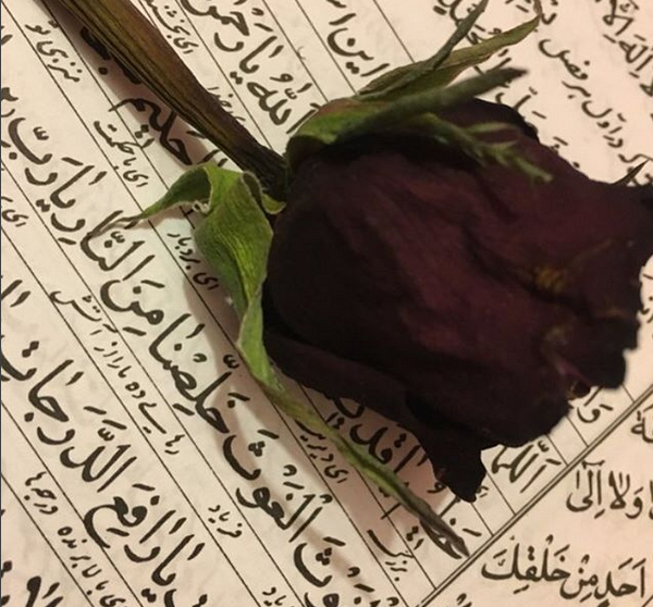 عکس هایی درباره ی ماه رمضان