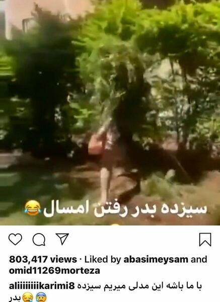 عکس برای سیزده بدر کرونایی