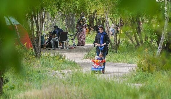 عکس برای سیزده بدر کرونایی