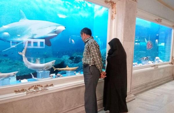 عکس شیطان دریا در موزه مشهد