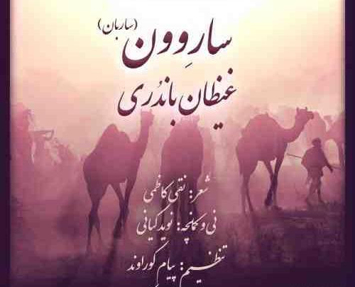 عکس امین بهزادی
