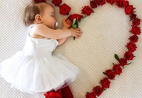 عکس جوجه یک روزه فنچ