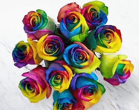 عکس گل رز هفت رنگ طبیعی