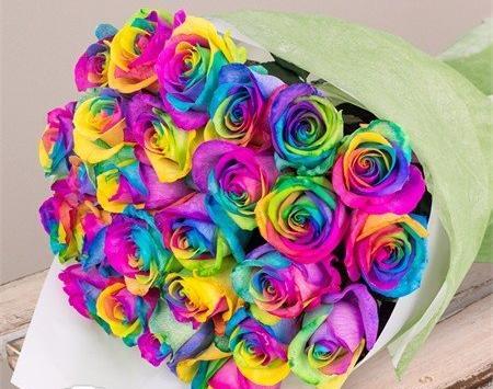 عکس گل رز هفت رنگ طبیعی