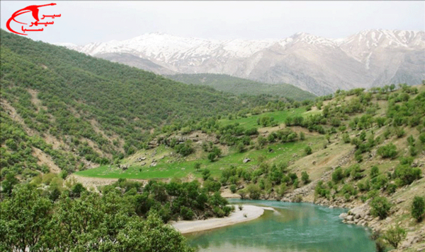 عکس سبز کوه