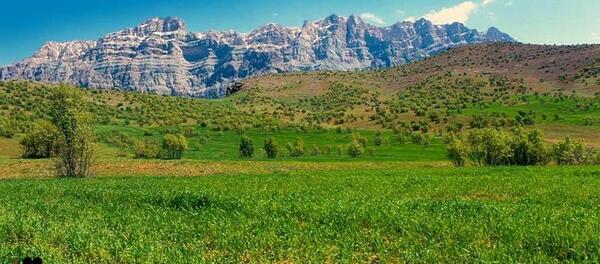 عکس سبز کوه