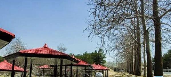 عکس پارک یاس