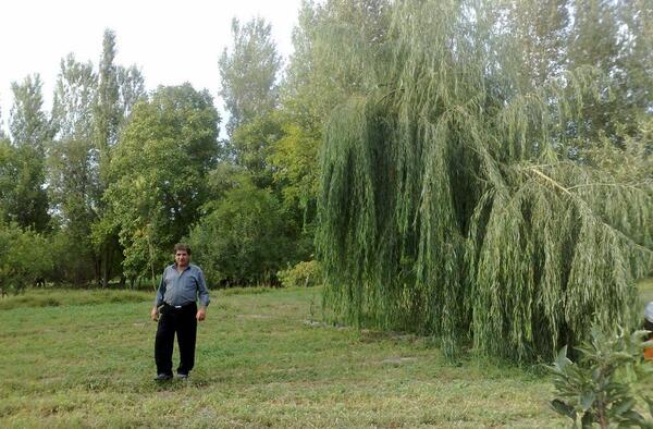 عکس های دیزج لیلی خانی