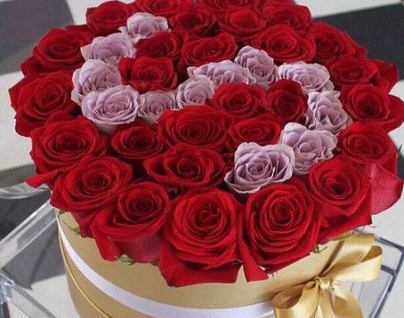 عکس های خوشگل از حرف s