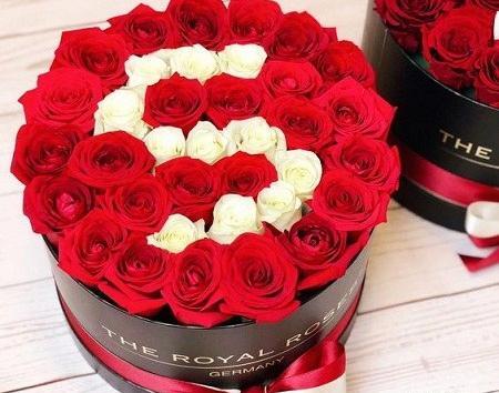 عکس های خوشگل از حرف s