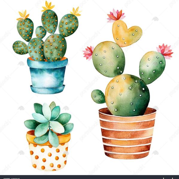 عکس کاکتوس برای نقاشی