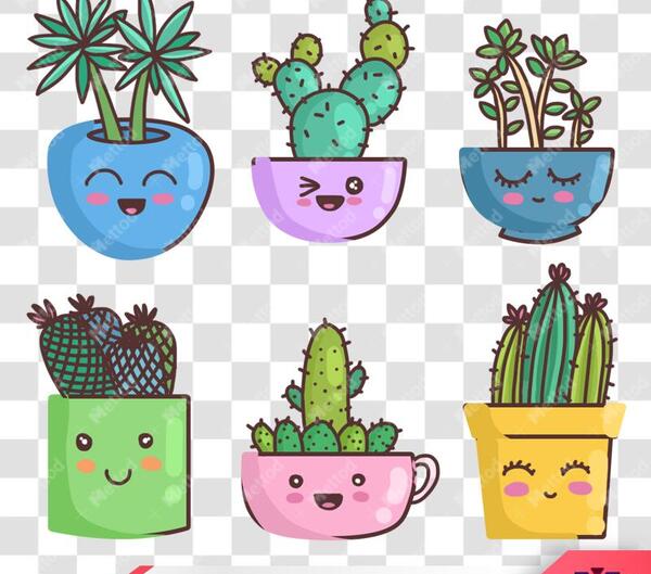 عکس کاکتوس برای نقاشی