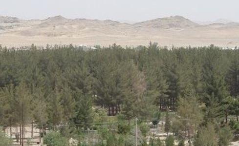 عکس پارک یاس زاهدان