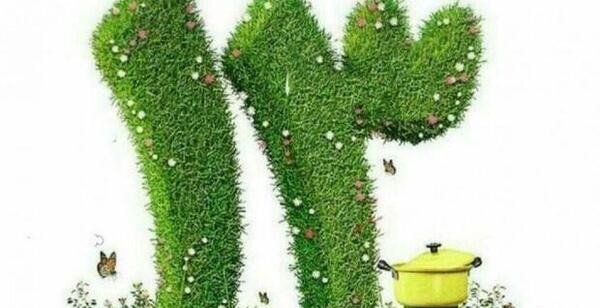 عکس سیزده بدر در خانه