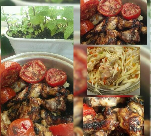 عکس سیزده بدر در خانه