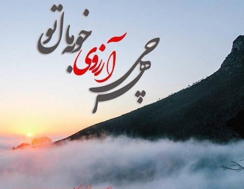 عکس شب لیله راغب