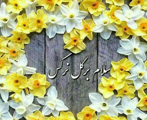 دانلود عکس نوشته صلوات