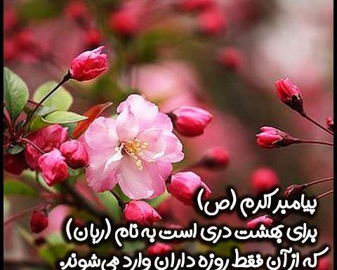 عکس قشنگ روزه