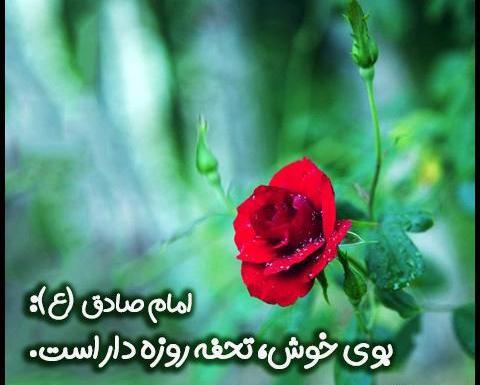 عکس قشنگ روزه