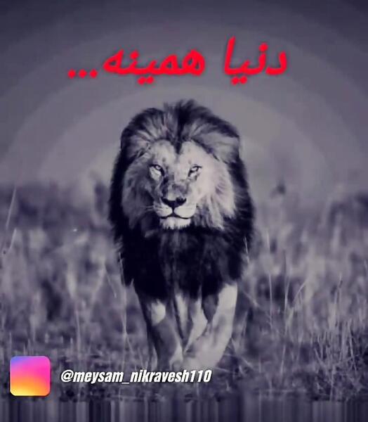 عکس دنیا همینه