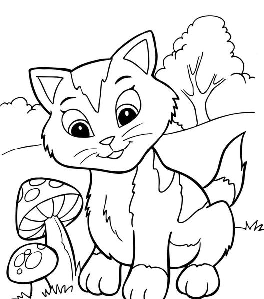 عکس گربه رنگ شده