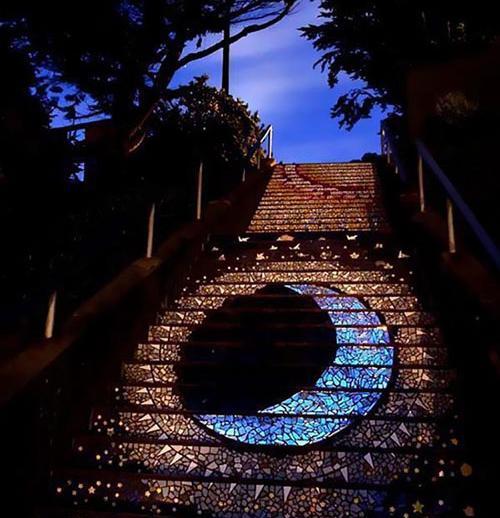 عکس روز شب