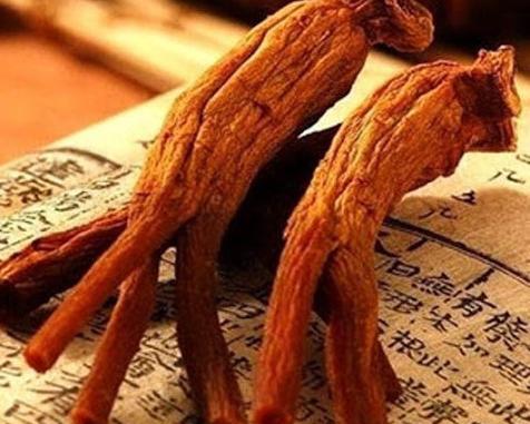 عکس جینسینگ قرمز