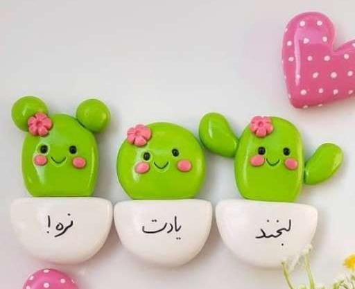 عکس کاکتوس گوگولی