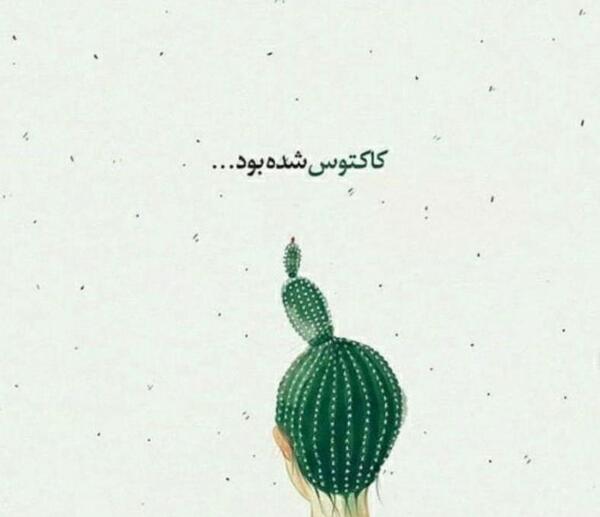 عکس کاکتوس برای پروفایل
