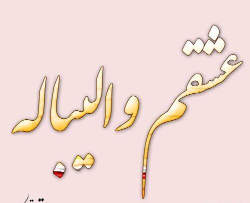 عکس ورزشگاه والیبال