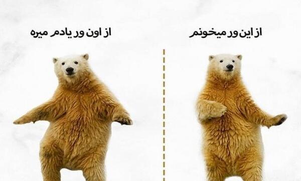 عکس شب امتحان دانشجویی