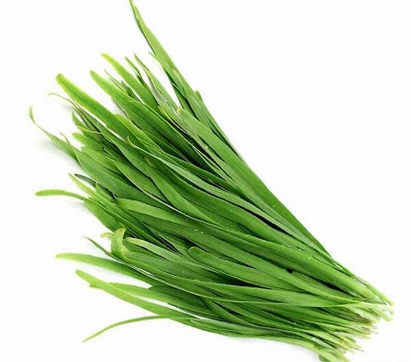 عکس سبزی تره