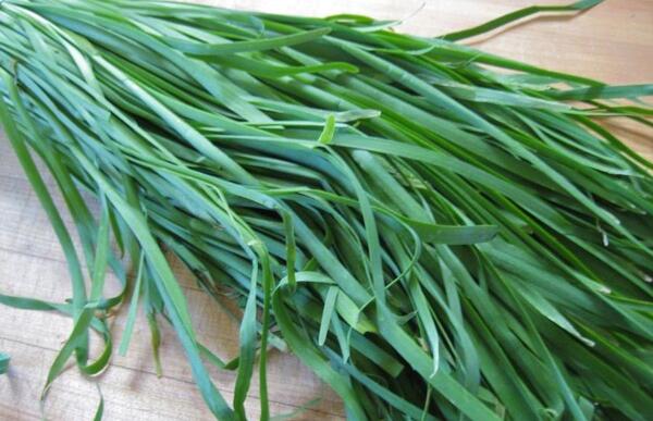 عکس سبزی تره