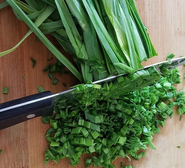 عکس سبزی تره