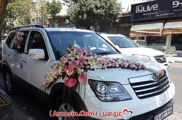 عکس عروس شاسی بلند