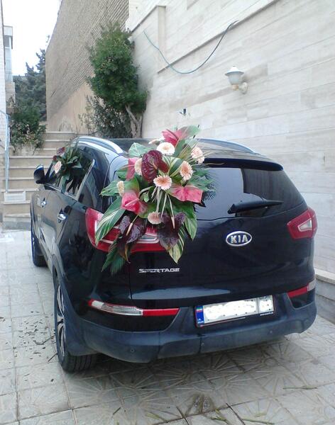 عکس عروس شاسی بلند