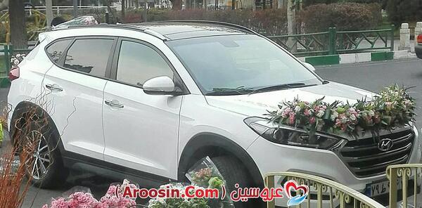 عکس عروس شاسی بلند
