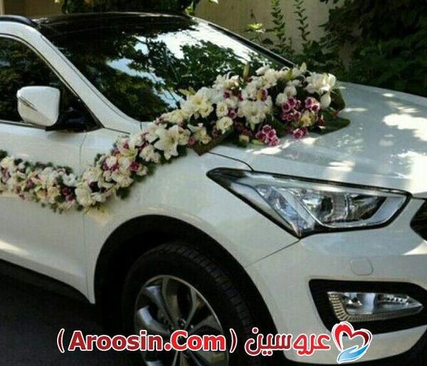 عکس عروس شاسی بلند