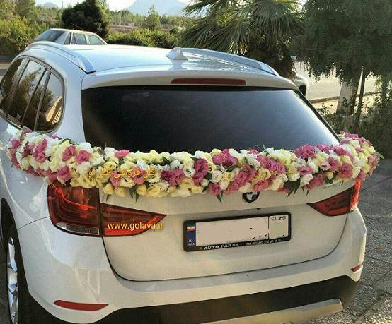 عکس عروس شاسی بلند